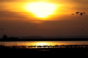 sun-199087_640