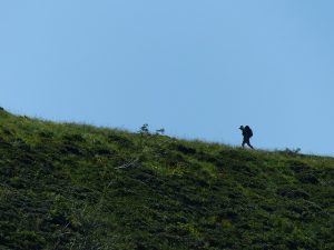 wanderer-177370_640