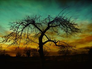 setting-94198_640