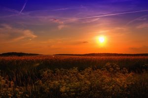 summer-789974_640