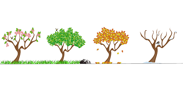 Hans Christian Andersen - "Historia roku" - czytanki.pl