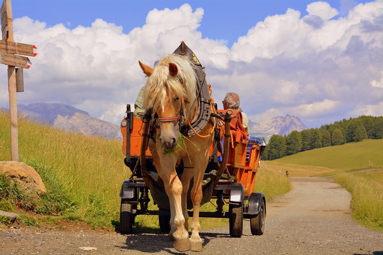 Ignacy Krasicki - "Konie i furman" - czytanki.pl