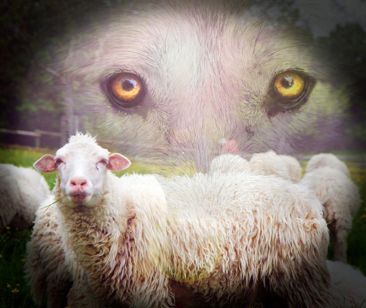 Ignacy Krasicki - "Wilk i owce" - czytanki.pl