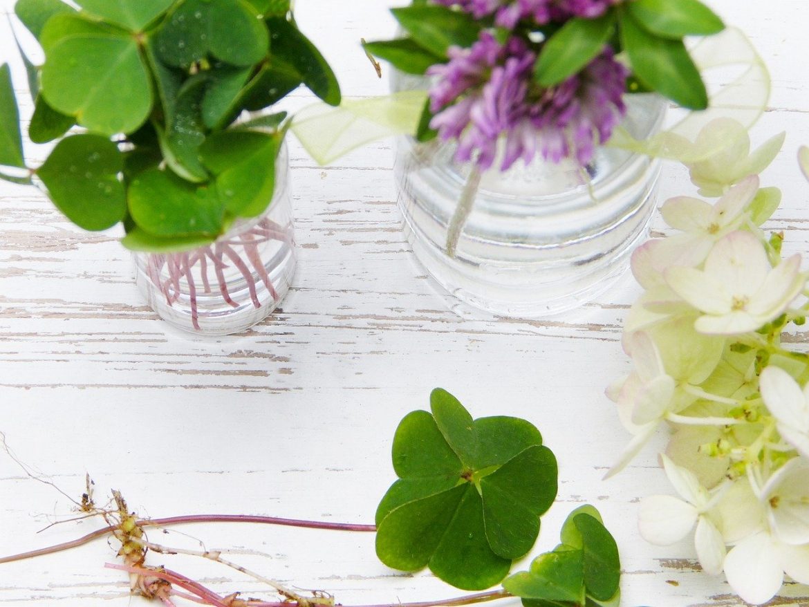 Cytaty o szczęściu - czytanki.pl